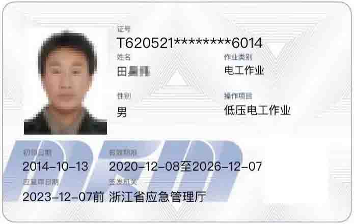 图片11